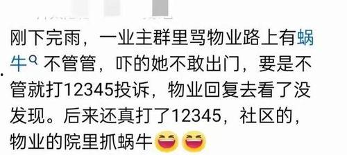 吃瓜群的链接,网络热议背后的真相与趣味